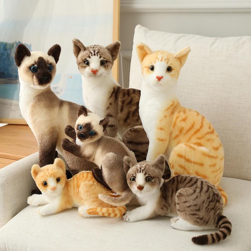 Jouets en peluche pour chat