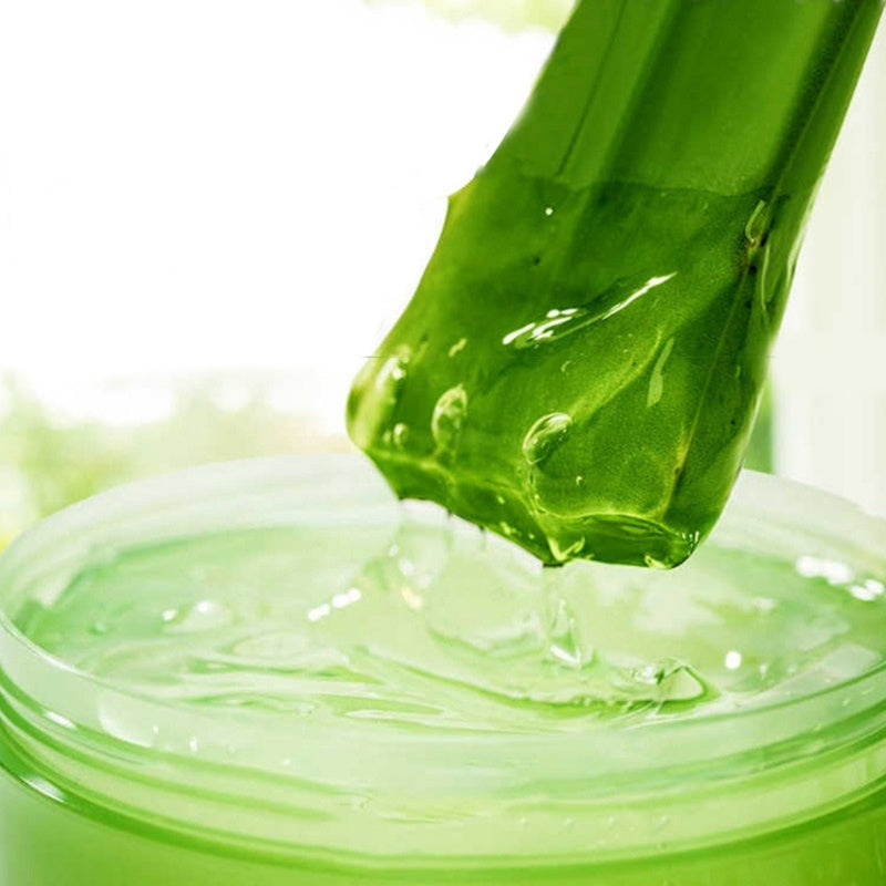 Gel d'aloe vera