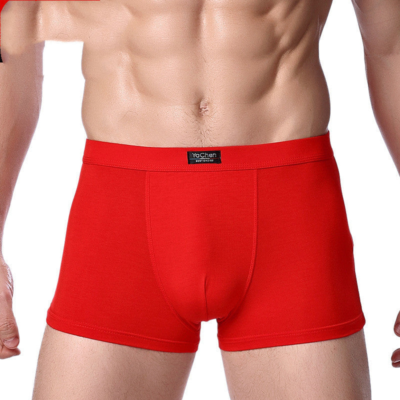 Men's Underwear Men's Boxer Briefs Bamboo Fiber Modal