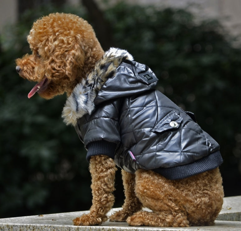 Gränsöverskridande husdjursförnödenheter husdjurskläder hundkläder höst och vinter pälskrage päls hundkläder