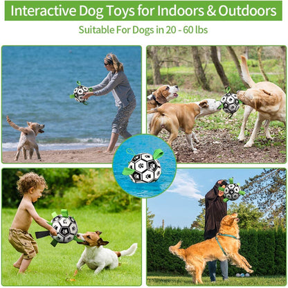 Jouets interactifs de Football pour animaux de compagnie, avec onglets de saisie, entraînement en plein air, balles à mâcher pour animaux de compagnie, accessoires pour chiens 