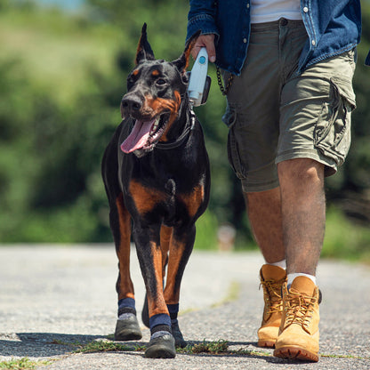 Pet Outdoor Sports Shoes With Anti Slip Biomimetic Stripes