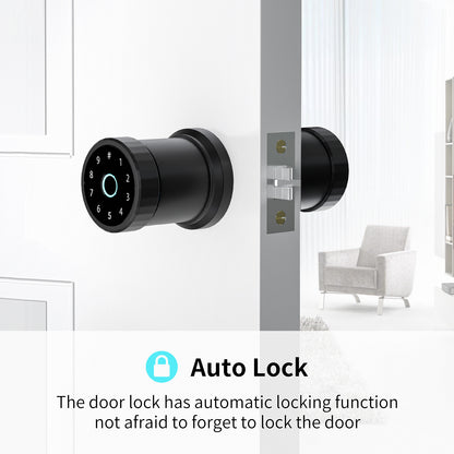 Smart Lock Fingerprint Office Apartment Spherical