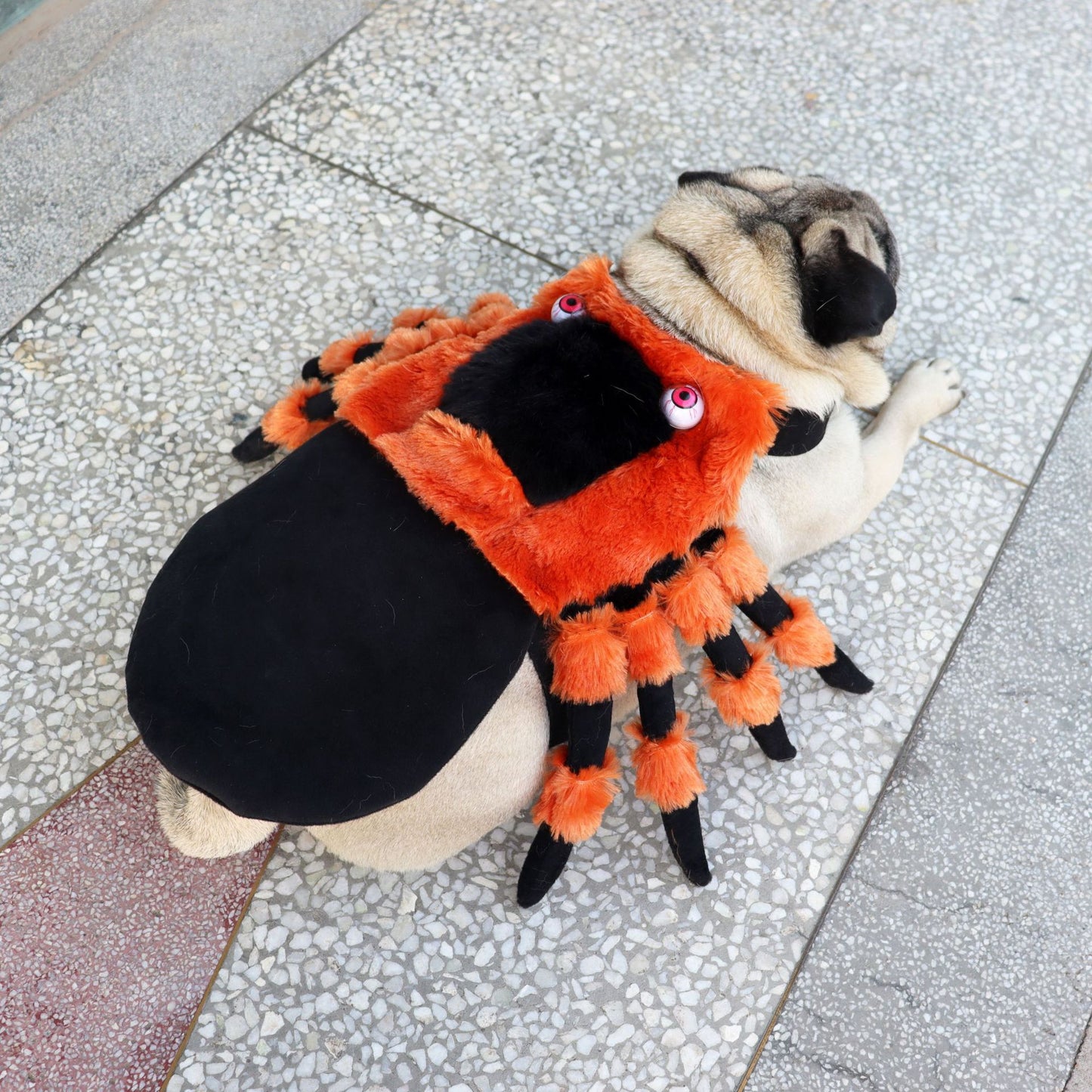Pet Clothes Halloween Spider Pet Costume