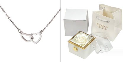 Stainless Steel Double Love Necklace Box Set