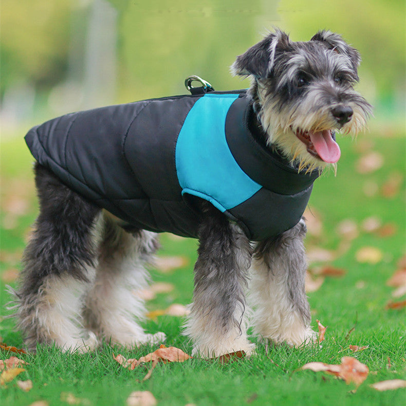 Vêtements chauds d'hiver pour animaux de compagnie, pull épais pour petits et grands chiens, sweat-shirt en duvet pour chiot, vêtements français pour chiens