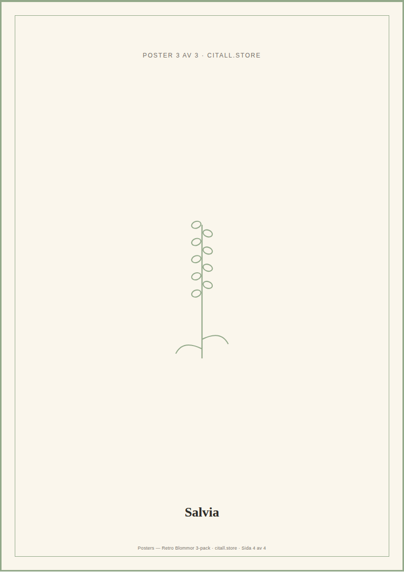 Posters — Retro Blommor 3-pack — 149 kr