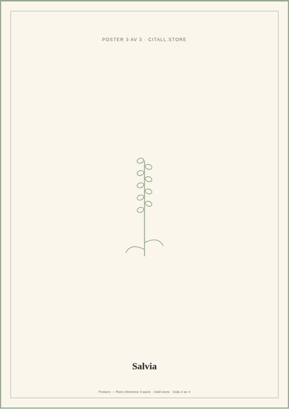 Posters — Retro Blommor 3-pack — 149 kr