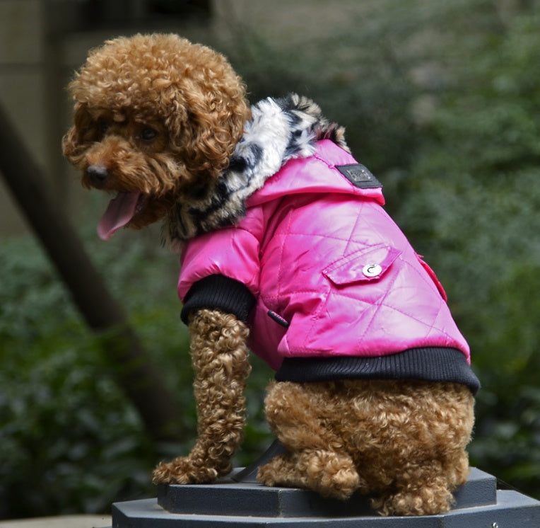 Gränsöverskridande husdjursförnödenheter husdjurskläder hundkläder höst och vinter pälskrage päls hundkläder