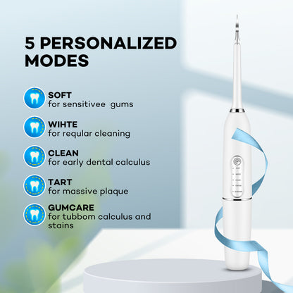 Nouveauté transfrontalière élimination du tartre et du calcul ensemble de cure-dents à l'eau outils de soins bucco-dentaires Instrument électrodynamique nettoyeur de dents