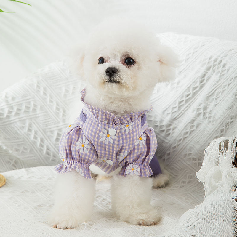 Little Daisy Dog Four Legged Clothing