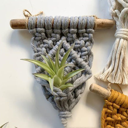 Mini cintres pour plantes en macramé, décoration d'intérieur, pour plantes aériennes