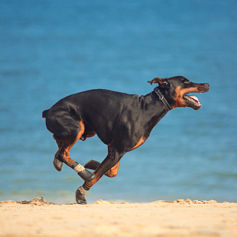 Pet Outdoor Sports Shoes With Anti Slip Biomimetic Stripes
