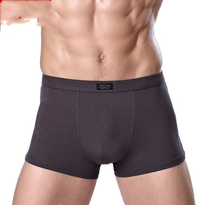 Men's Underwear Men's Boxer Briefs Bamboo Fiber Modal