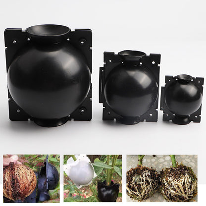 Plant High Pressure Propagation Box Tree Grafting Growth Ball