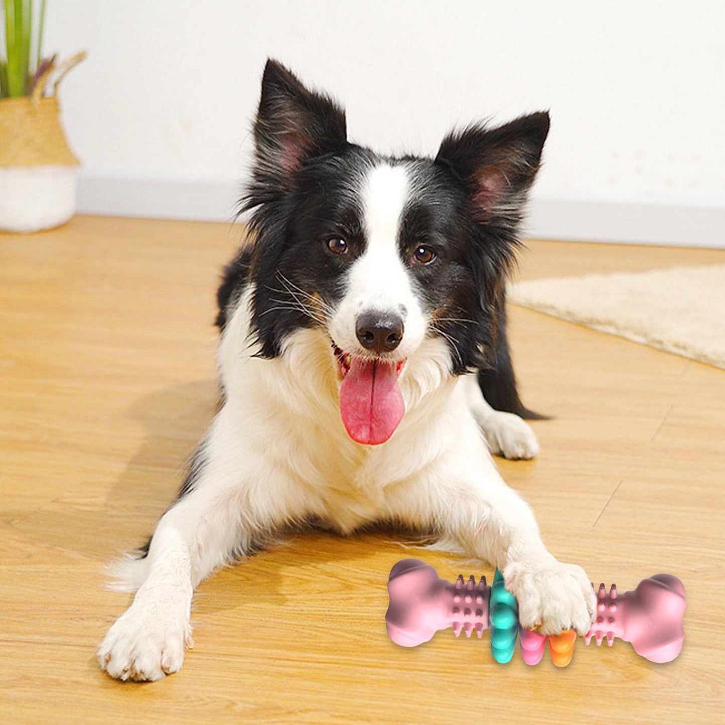 Jouet à mâcher pour chien, Type d'os, jouets de nettoyage des dents, os TPR indestructibles, jouets de dentition résistants aux morsures, produits pour animaux de compagnie