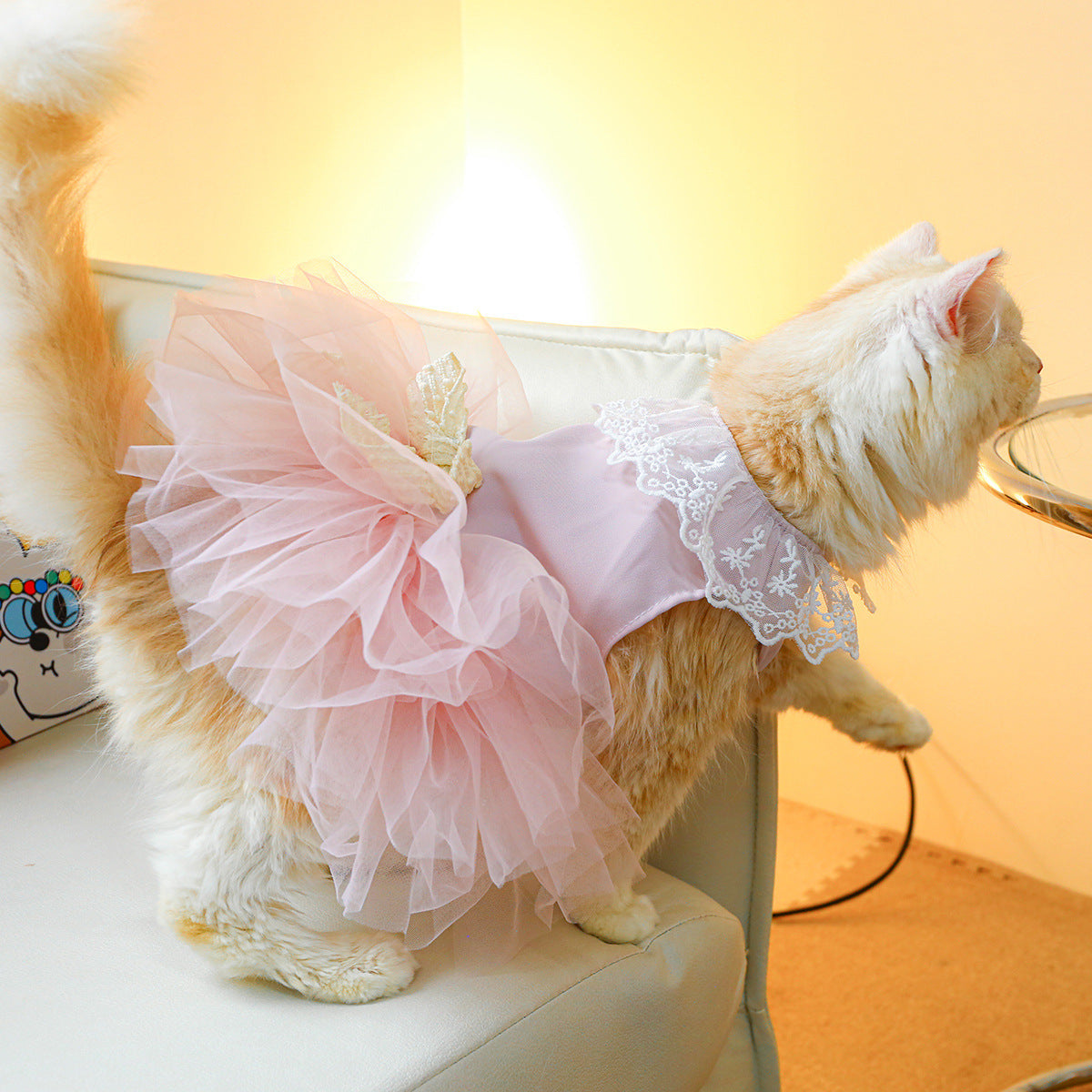 Pet Clothing Cat Clothes Lace Cat