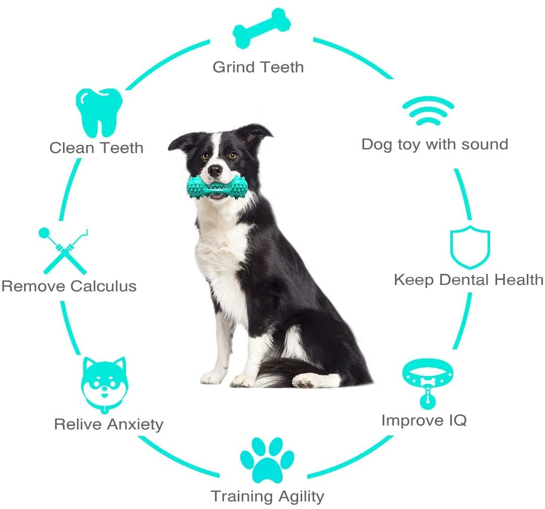 Jouets à mâcher de nettoyage pour chiens de compagnie, bâton molaire en caoutchouc, dents buccales pour chiens agressifs