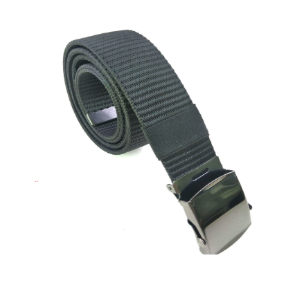 Ceinture d'argent de sécurité de voyage