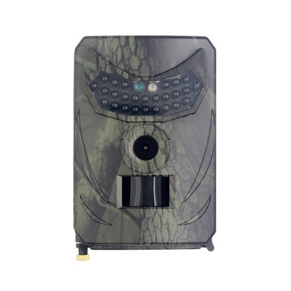 Forestry security camera