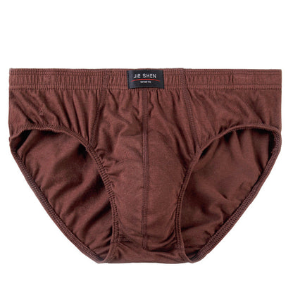 Men's Briefs Cotton Underwear