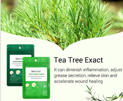 Tea Tree Acne Patch Tonar aknemärken och ultratunt