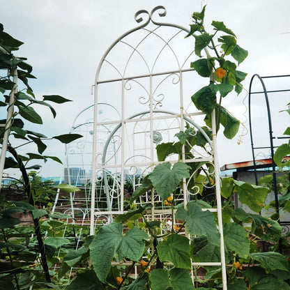 4 Pack Metal Garden Trellis 86.7x19.7 Rustproof For Climbing Plants Outdoor