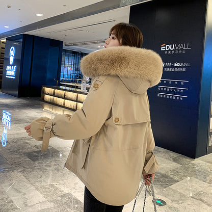 Windbreaker Women's New Winter Coat - Polyester Fiber Long Sleeve Weather Protection