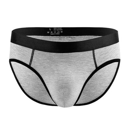 Men's Panties Low Waist Briefs
