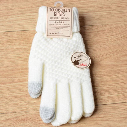 Knit Gloves Ladies Jacquard Touch Screen Warm Fashion Winter Gloves