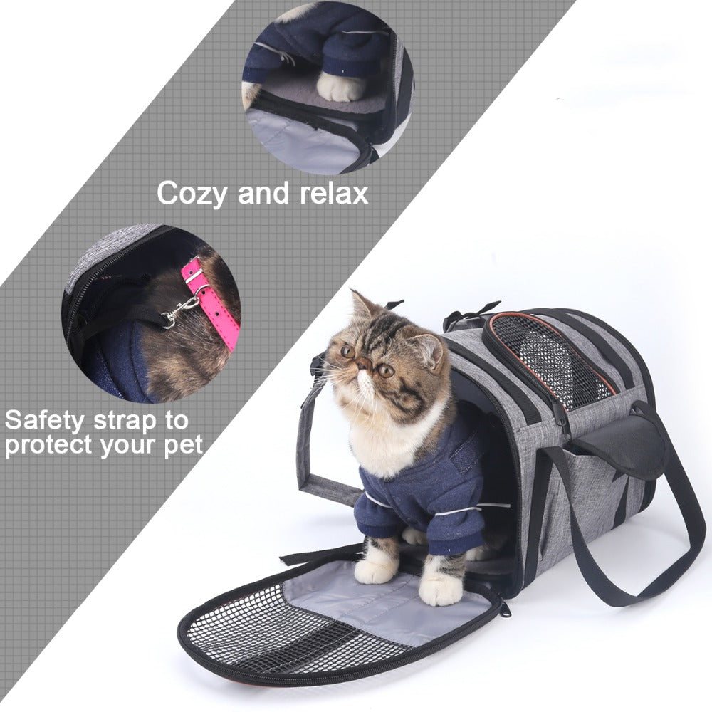 Panier de siège de voiture pliable multifonctionnel pour animaux de compagnie, chiot, chien, chat, sac de transport de voyage pour animaux de compagnie