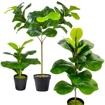 Nordic Style Potted Plants And Green Plants For Home Decoration