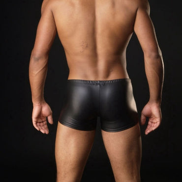 Men's Sexy Golden/Silver Underwear Boxers/Briefs