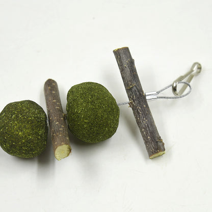 Pet Molar Supplies - Natural Dental Care for Pets