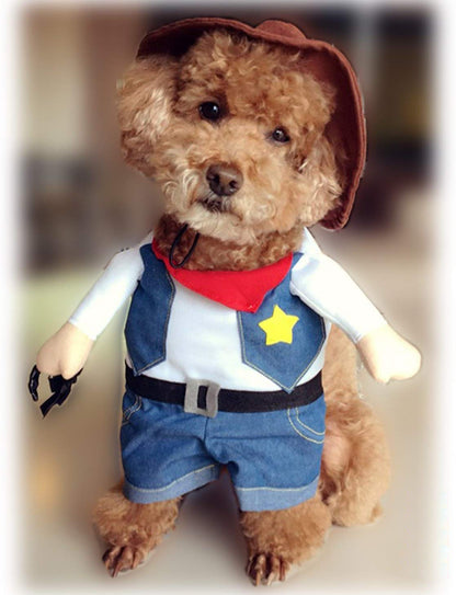 Pet denim costume