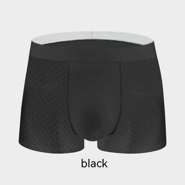 Men's Ice Silk Mesh See Through Breathable Boxer Briefs