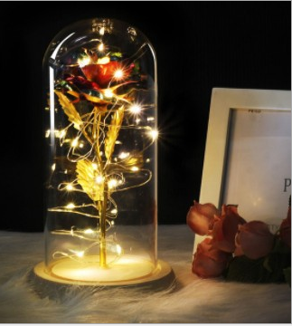 Mothers Day Gift Enchanted Forever Rose Flower In Glass LED Light Home Decoration