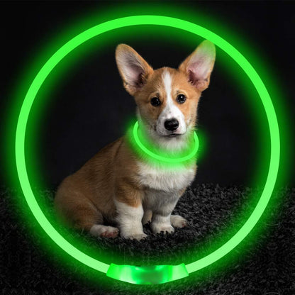 Husdjur blinkande krage USB uppladdningsbart glödande halsband Säkerhet krage Light upp kragar för natt gång elektrisk hund krage neon