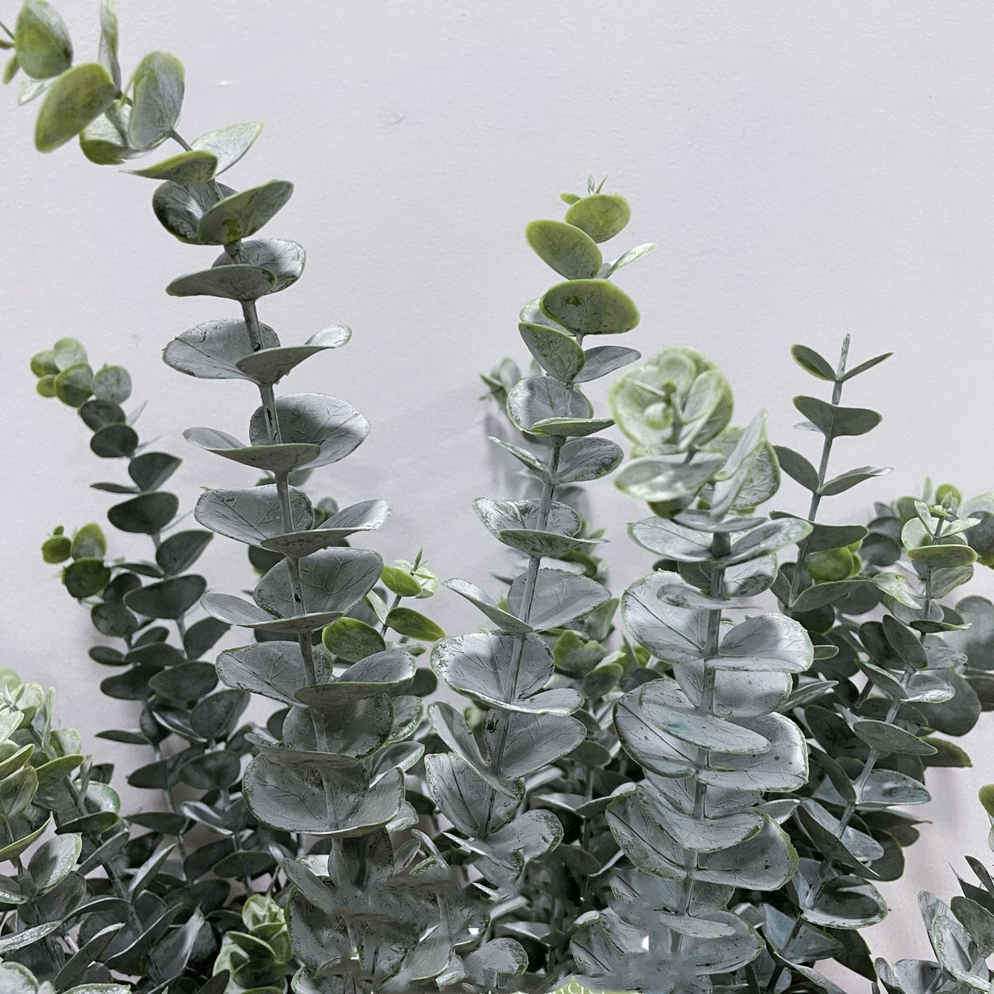 Holiday Entertainment: Green Plants Decoration