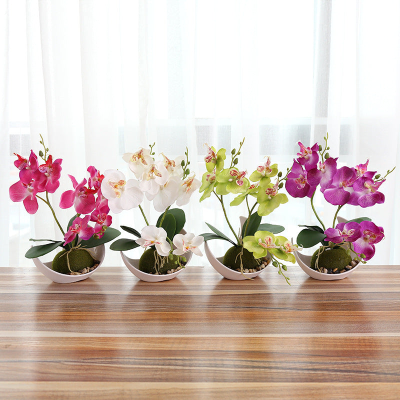 Decorative Plants