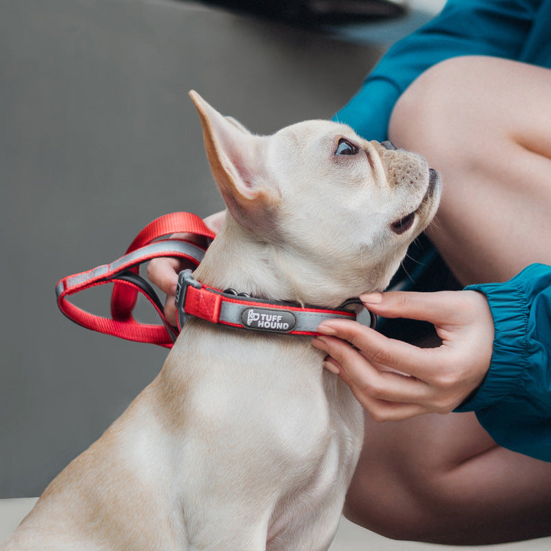 Collier pour chien, produits pour animaux de compagnie, ensemble de Traction réfléchissant pour le cou complet