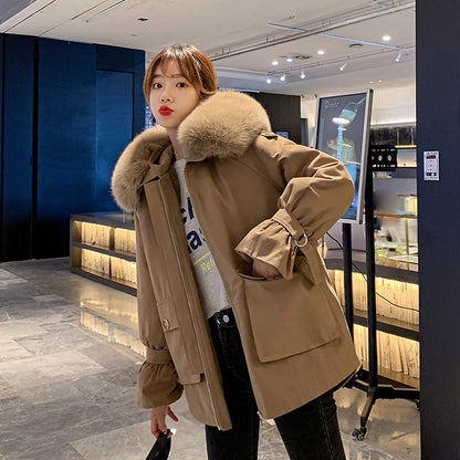 Windbreaker Women's New Winter Coat - Polyester Fiber Long Sleeve Weather Protection