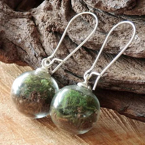 2pairs16MM Glass Globe Dandelion Seed Earrings Eco Nature Real Dried Flowers