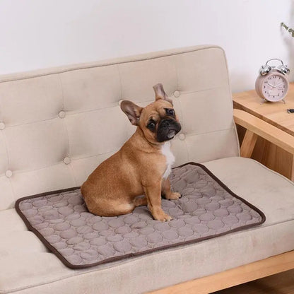 Tapis rafraîchissant d'été pour chiens et chats, couverture de canapé, respirant, lit pour animaux de compagnie, lavable, pour petits, moyens et grands chiens, voiture