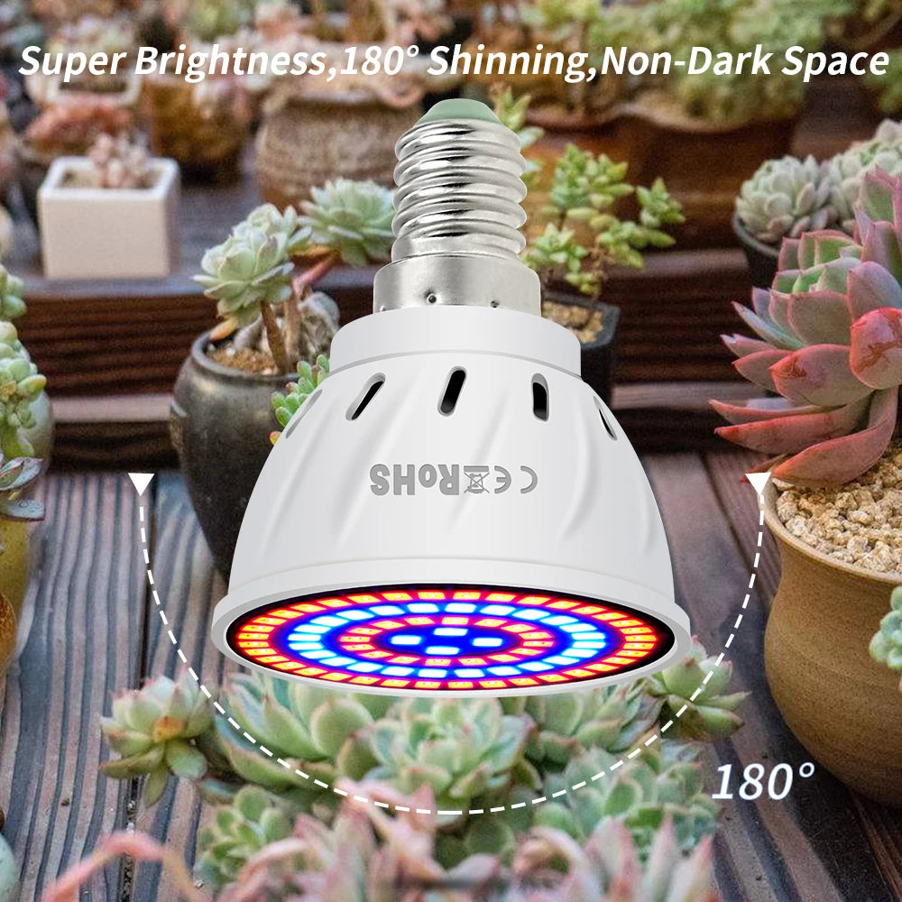 Phyto Led B22 Hydroponic Growth Light E27 Led Grow Bulb MR16 Full Spectrum 220V UV Lamp Plant E14 Flower Seedling Fitolamp GU10