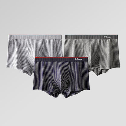 Boxer antibactérien en soie de mûrier pour hommes, sous-vêtements en pur coton, couture