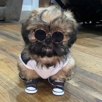 Small Dog Teddy Shoes Dog Four Seasons