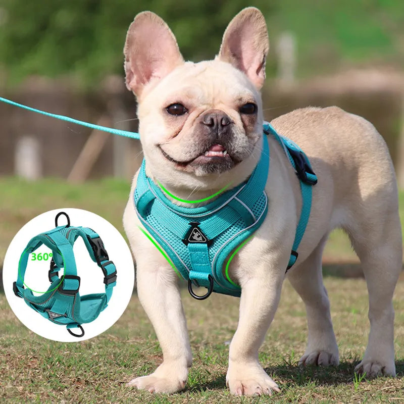 Ensemble harnais et laisse pour chien, sans traction, réglable, gilet pour petits chiens et chats, sangle de poitrine en maille réfléchissante, bouledogue français