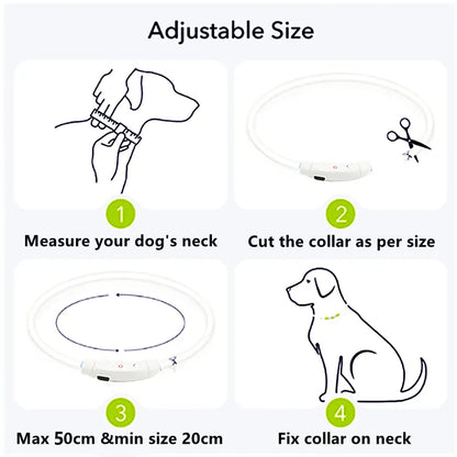 Collier de chien à lumière Led détachable, brillant, chargeur USB, laisse lumineuse pour grand chat, petit collier lumineux pour animaux de compagnie du Labrador, produits pour chiens