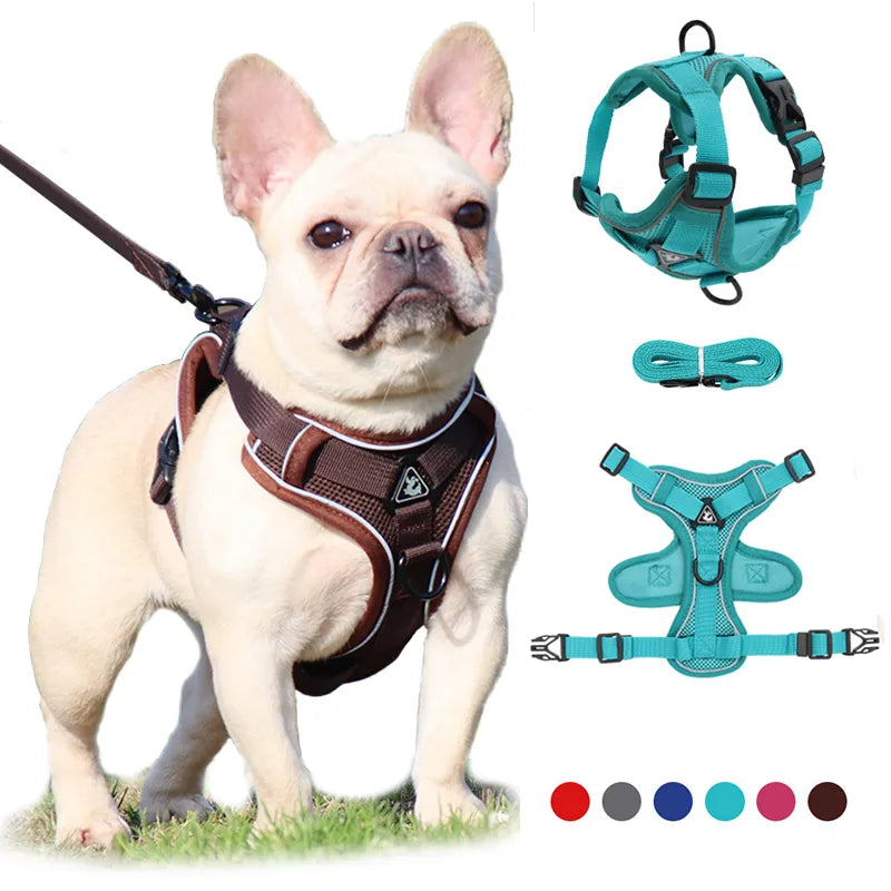 Ensemble harnais et laisse pour chien, sans traction, réglable, gilet pour petits chiens et chats, sangle de poitrine en maille réfléchissante, bouledogue français